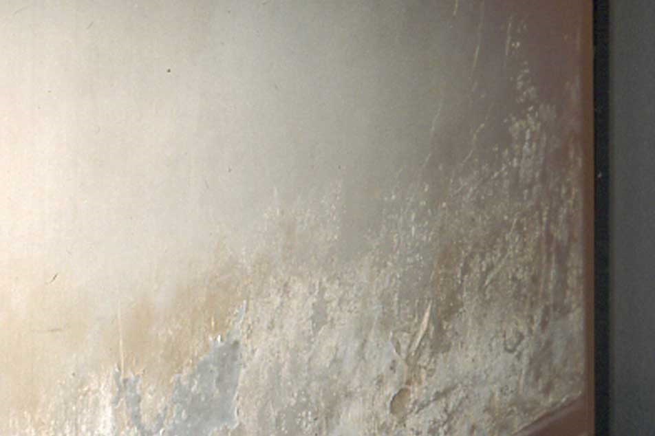 Rising damp - salt stained plaster - Property Care Association